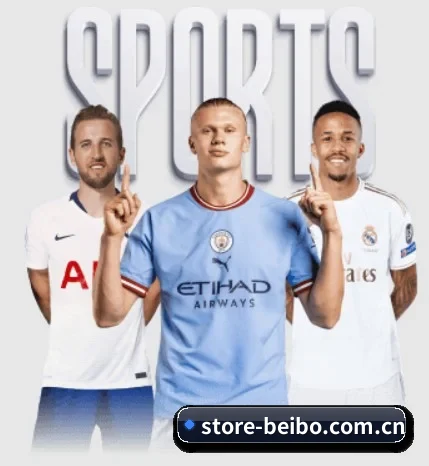 store-beibo.com.cn的故事